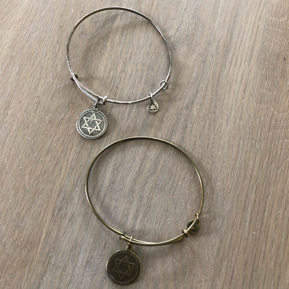 ALEX AND ANI